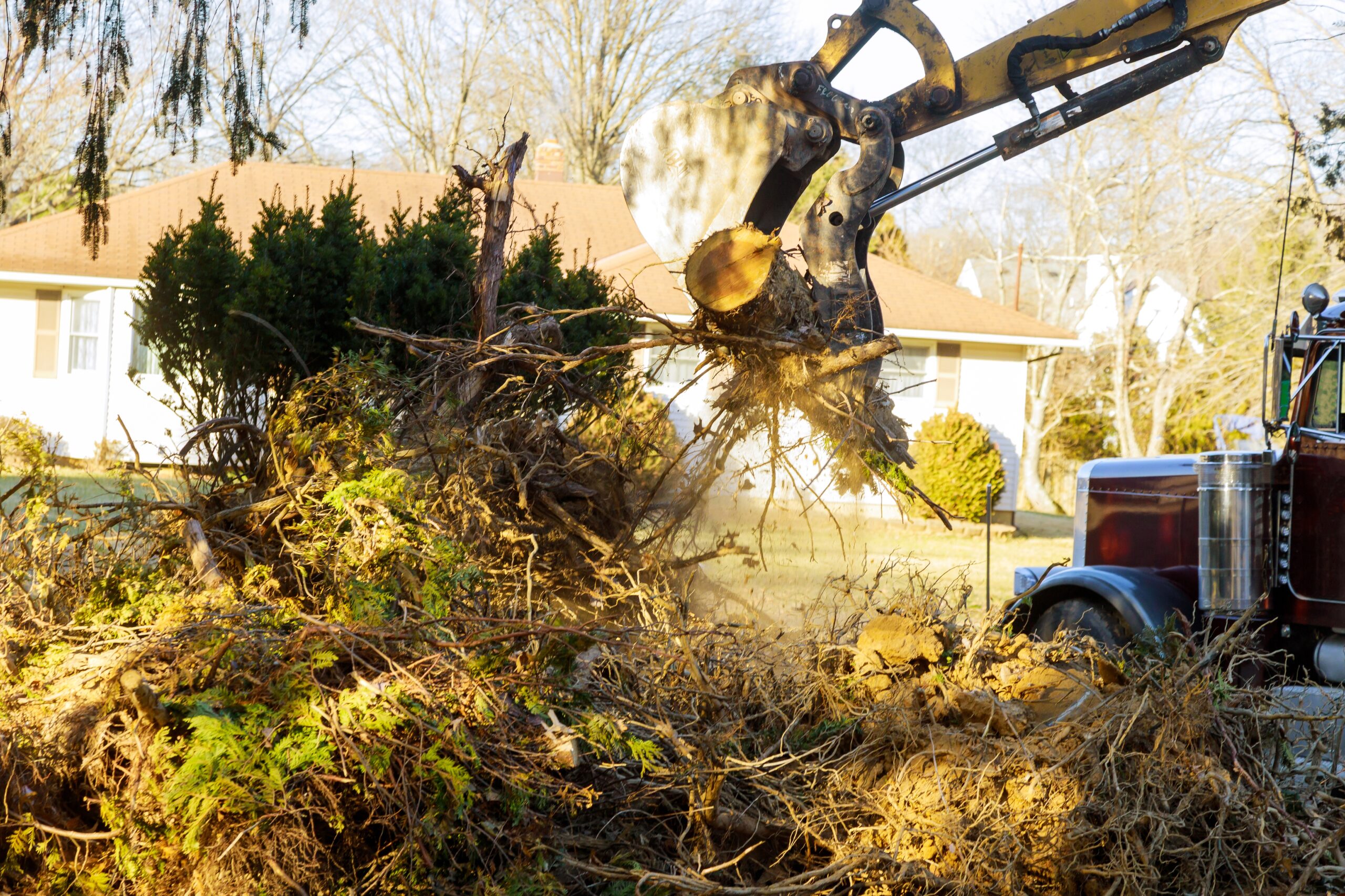 A Guide to Choosing the Best Tree Removal Services in Melbourne